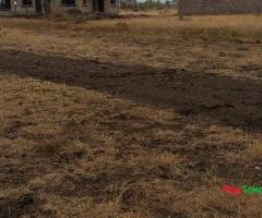 Prime Plot Grand Sale!!! - 5