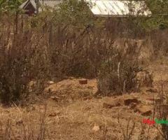 Prime Acres Grand Sale!!! - 2