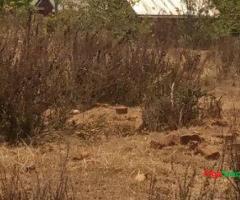 Prime Acres Grand Sale!!! - 3