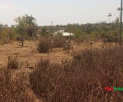 Prime Acres Grand Sale!!! - 4