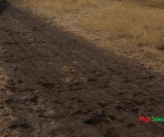 Prime Plot Grand Sale!!! - 2