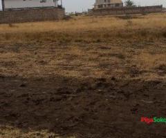 Prime Plot Grand Sale!!! - 4